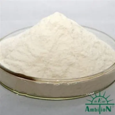 Alginato de cálcio em pó